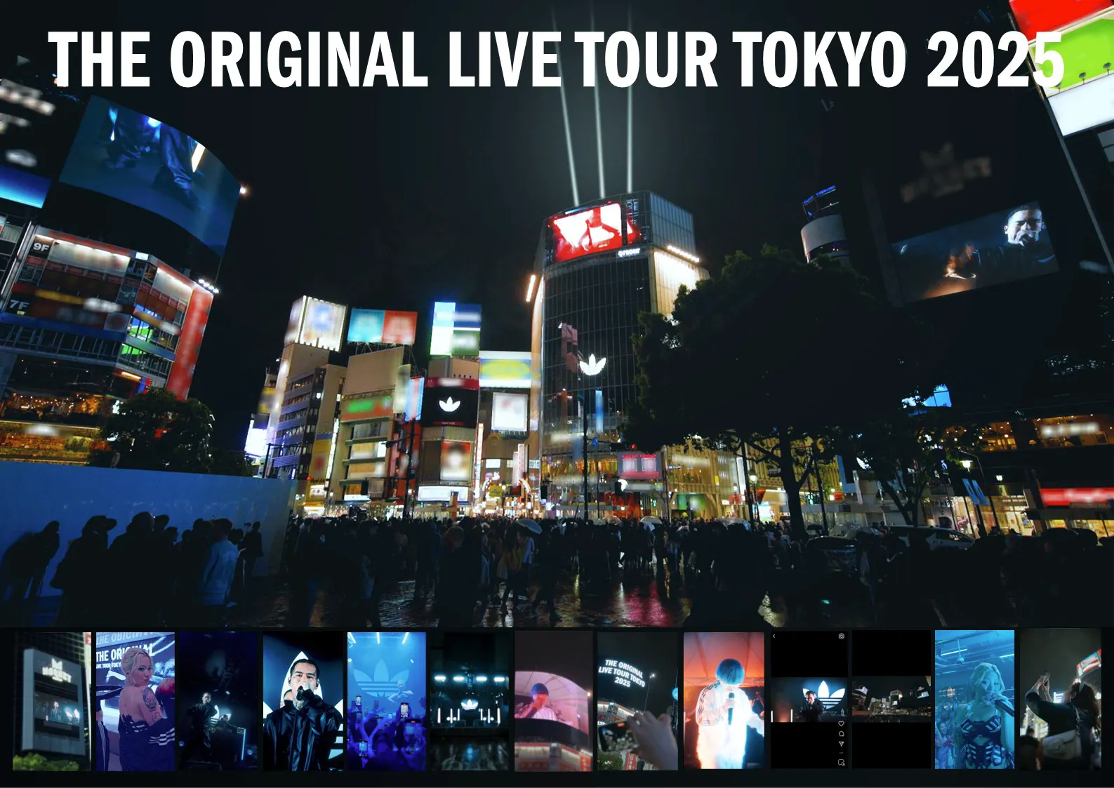 TOWの実績イメージ